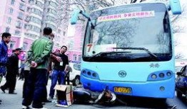 20路公交车爆料新闻,市民亲身经历，记录城市生活点滴