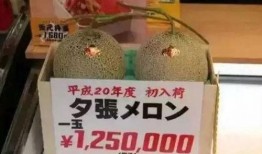 娱乐吃瓜大ip,那些你不知道的“吃瓜”大IP背后的故事